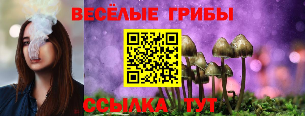 Псилоцибиновые грибы Magic Shrooms Норильск
